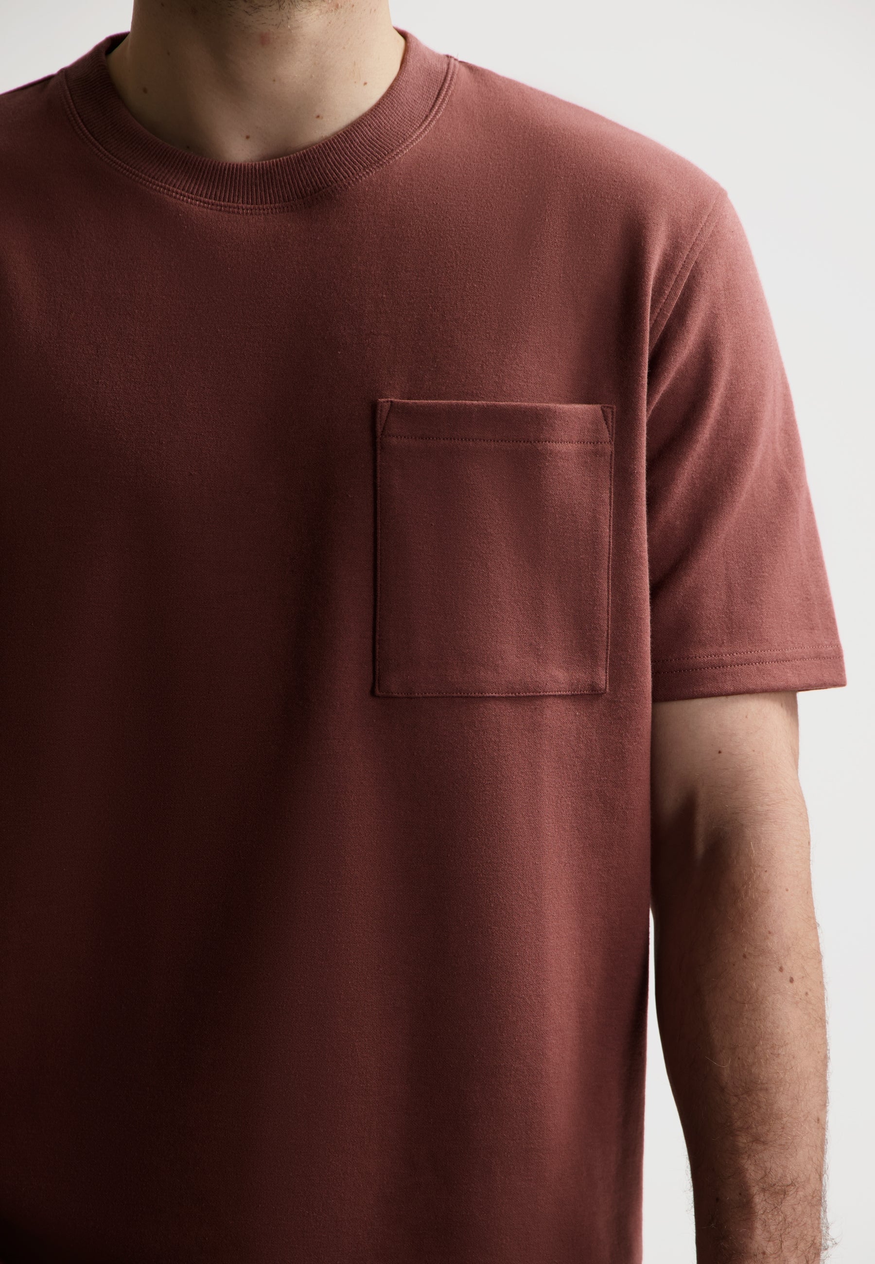 SAVE ROOM FOR DESSERT Tシャツ ブラウン WASHED REGULAR FIT T-SHIRT - Light brown | ZARA UAE - Dubai