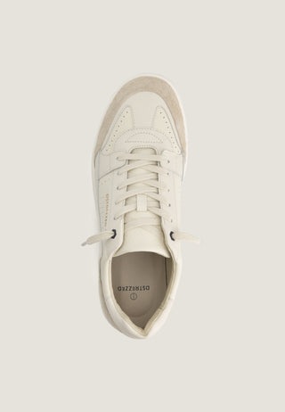 Offwhite